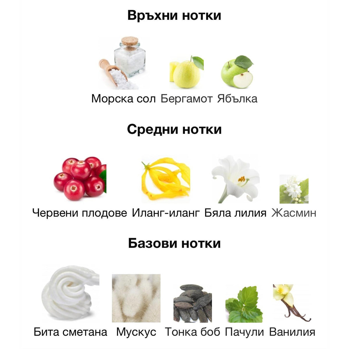Armaf Prexieux IV ExDP 55 мл. – оригинален парфюм, продуктова снимка 3