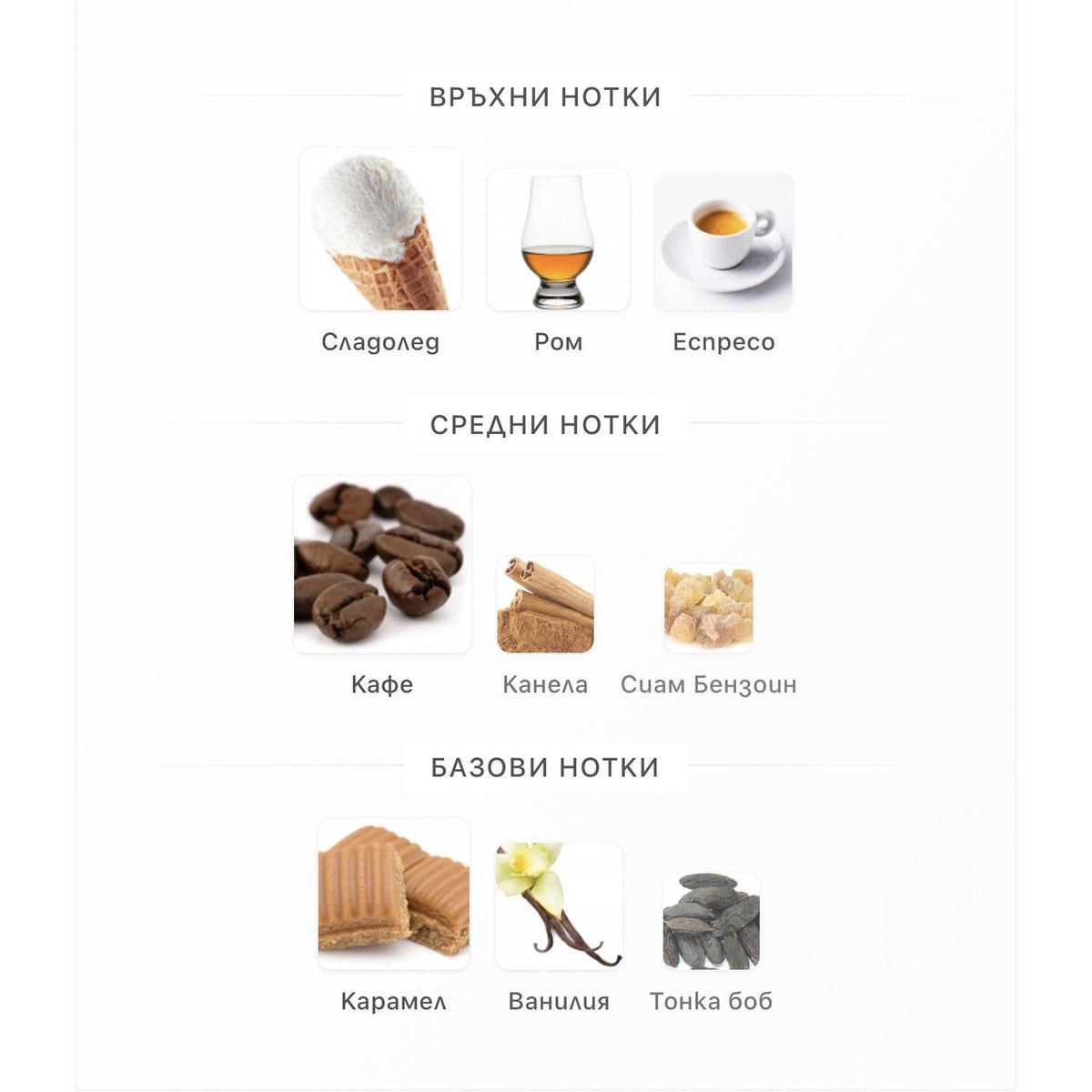 Fragrance World Affogato 100ml – оригинален парфюм, продуктова снимка 4