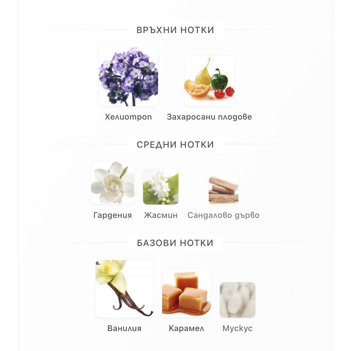 Fragrance World Bouquet of Euphoria EDP 100ml – оригинален парфюм, продуктова снимка 5