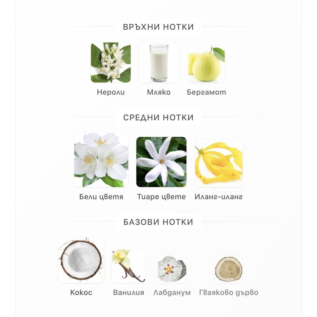 French Avenue Veneno Bianco EDP 100ml – оригинален парфюм, продуктова снимка 5