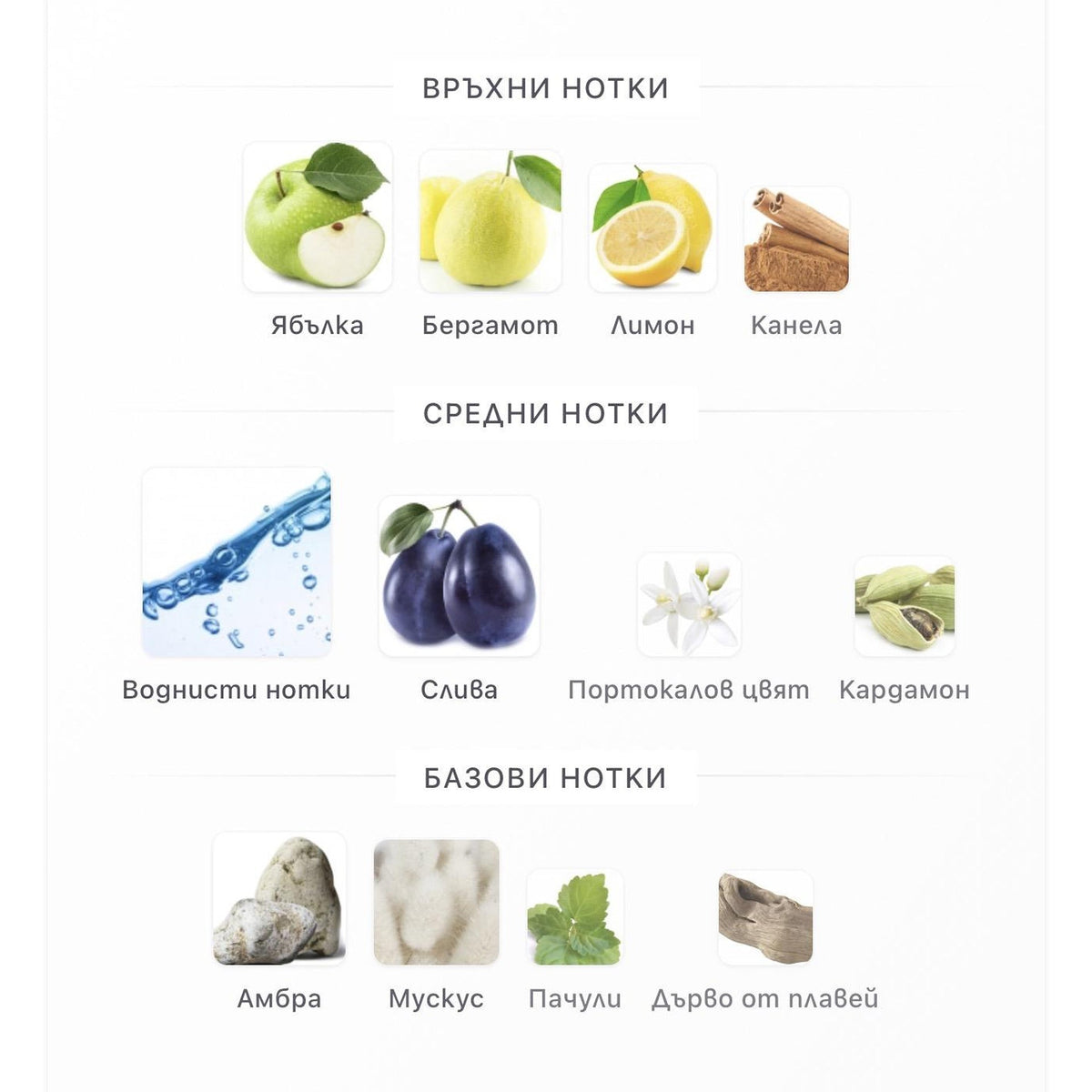 Rasasi Hawas EDP 100ml – оригинален парфюм, продуктова снимка 3