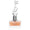 Aurora Scents Deciduous Spring EDP 100 мл. – оригинален парфюм, продуктова снимка 1